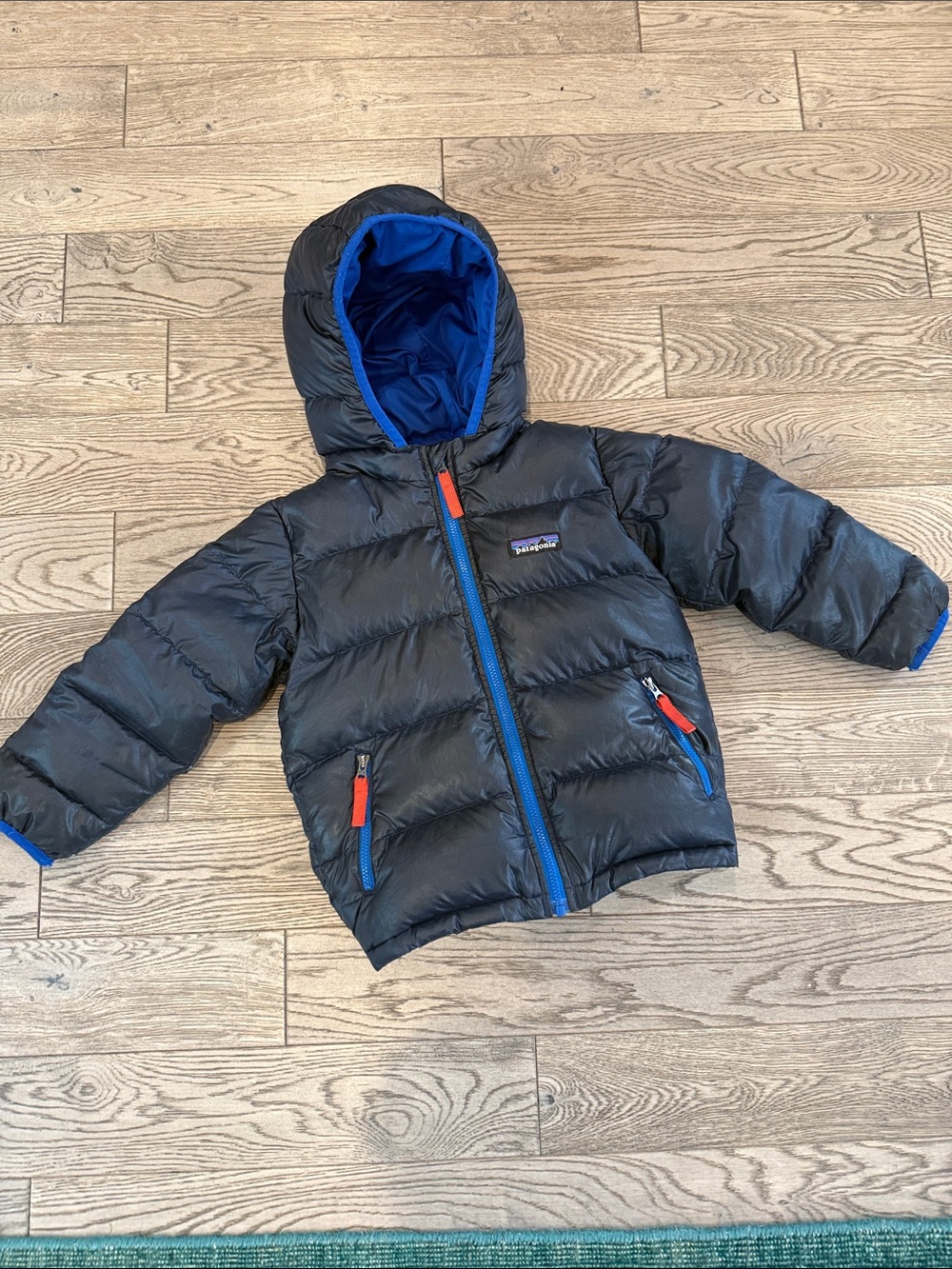 Navy Hooded Patagonia Puffer Coat